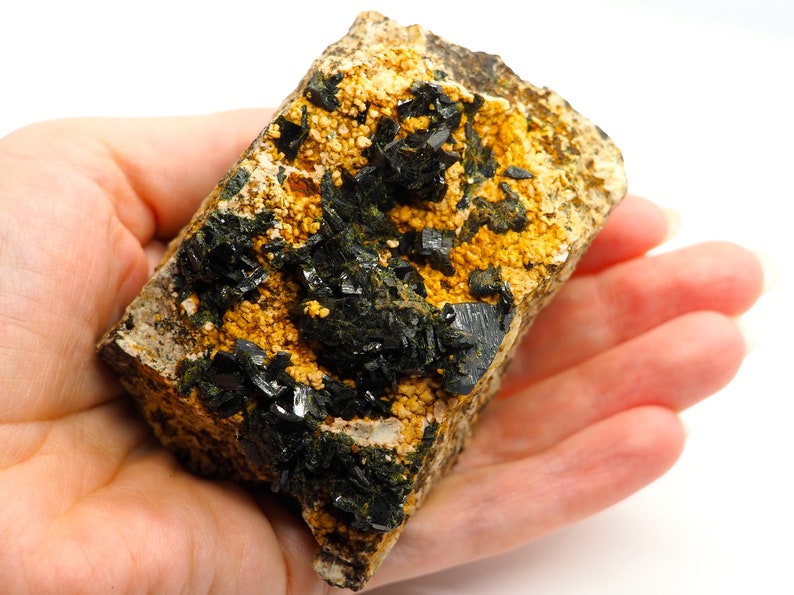 May include: A mineral specimen featuring a dark, crystalline structure atop a matrix of tan and yellow granular material. The mineral is held in a hand, showcasing its texture and color against a white background. The specimen appears to be a natural, unpolished stone.
