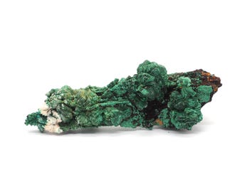 May include: A vibrant green malachite mineral specimen with a textured, crystalline surface. The mineral has a dark brown base and a white patch on the left side. The malachite is a natural stone, perfect for collectors or as a decorative piece.