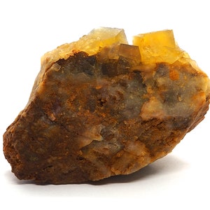 Peut inclure: Un groupe de cristaux de fluorine jaunes incrustés dans une roche brune. Les cristaux sont translucides et ont une forme cubique.