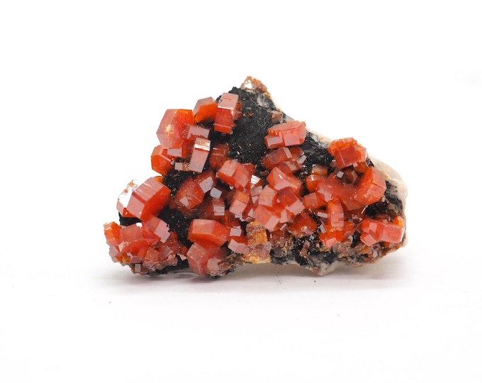 Vanadinite 35mm x 25mm 20g. Beautiful red clear Vanadinite crystal. Ethically sourced fair trade mineral. Pure energy, direct from the miner.