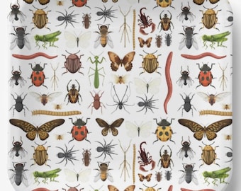 Insects Square Paper Plates Birthday Party Baby Shower Kids Boy Girl, Set of 8