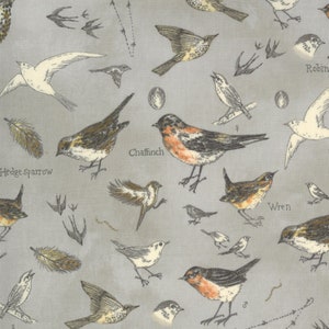 Botanicals, Vintage Grey/Gray || 16910 12 || Moda