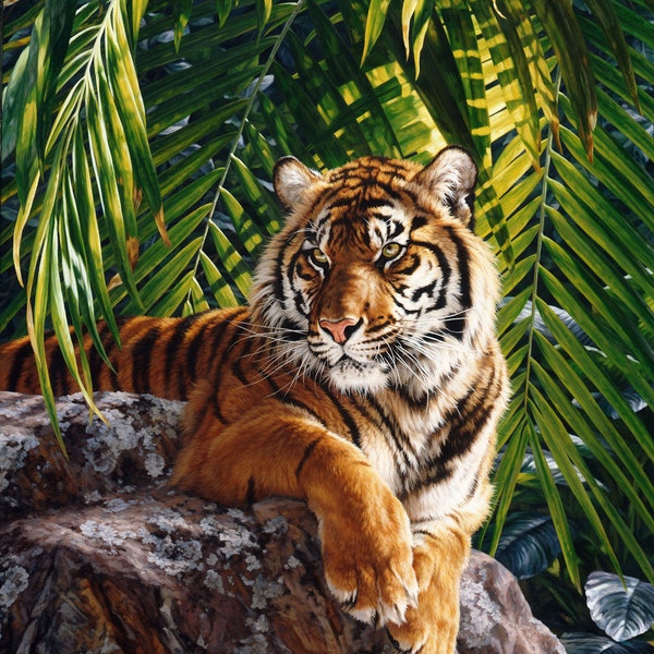 Jungle Queen, Tiger Panel || 32" x 43"  || Northcott || Black Multi || DP25519-99
