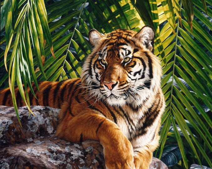 Jungle queen tiger panel 32 x 43 northcott black multi
