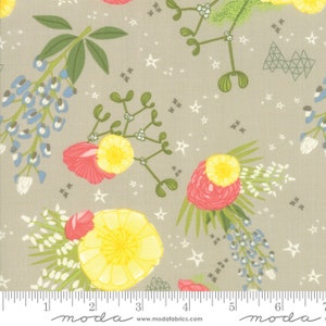 Desert Song, Tumbleweed, MODA Fabrics, 13300 12
