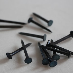 Könnte beinhalten: Eine Sammlung von 12 schwarzen Metallnägeln mit runden Köpfen. Die Nägel sind auf einer weißen Oberfläche verstreut.