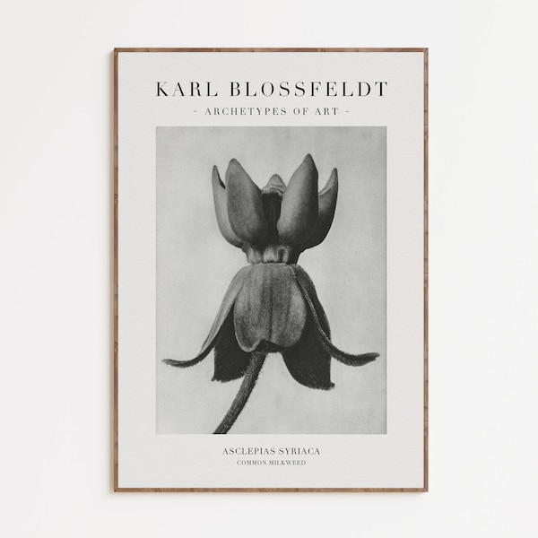 Karl Blossfeldt Photography Art Print, Mur de galerie minimaliste, Affiche d’exposition botanique, art mural imprimable vintage, Téléchargement numérique