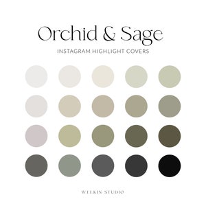 20 Orchid & Sage Solid Instagram Stories Highlight Covers, IG Stories Branding Colours, Social Media Icon Hex Codes, Aesthetic Palette