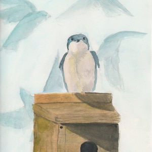 Tree Swallow - 3 billion birds