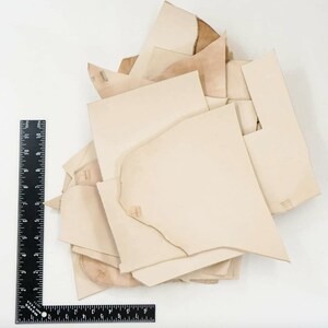 May include: A pile of off-white leather scraps of various sizes and shapes. A black ruler is in the lower left corner of the image.