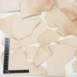 May include: A collection of off-white leather scraps of various sizes and shapes. The leather is smooth and appears to be of good quality.