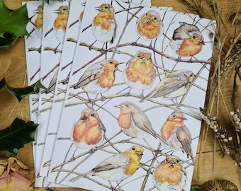 Four Robin Christmas Cards (one design, blank inside 5" x 7")