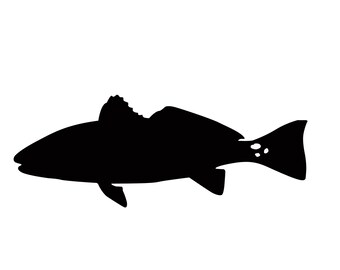 Download Red Drum Svg Etsy
