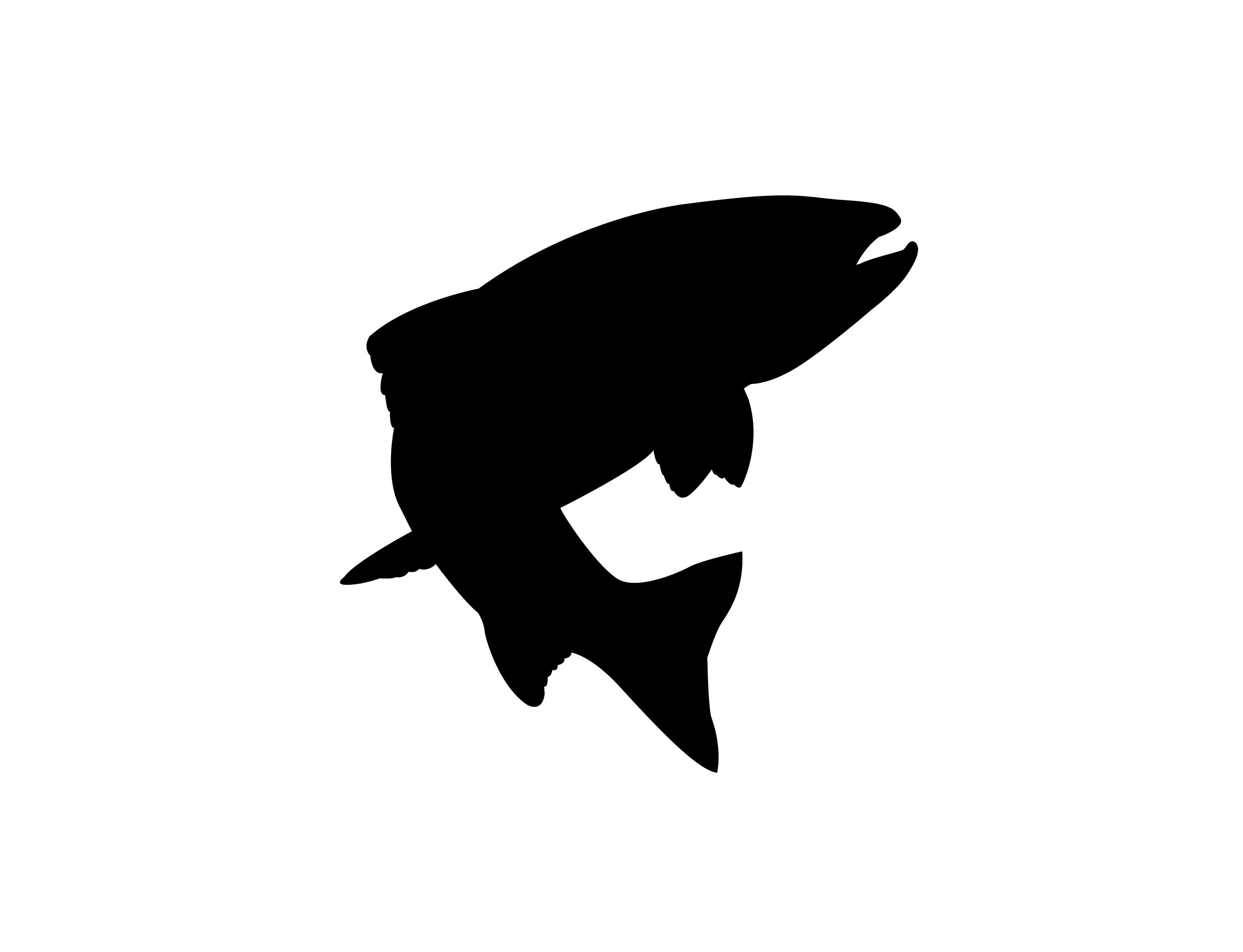 Download Trout Svg Png Jpeg Fish Jumping Silhouette Fly Fishing Digital Etsy