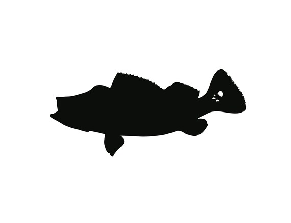 Free Free 125 Simple Bass Fish Svg SVG PNG EPS DXF File
