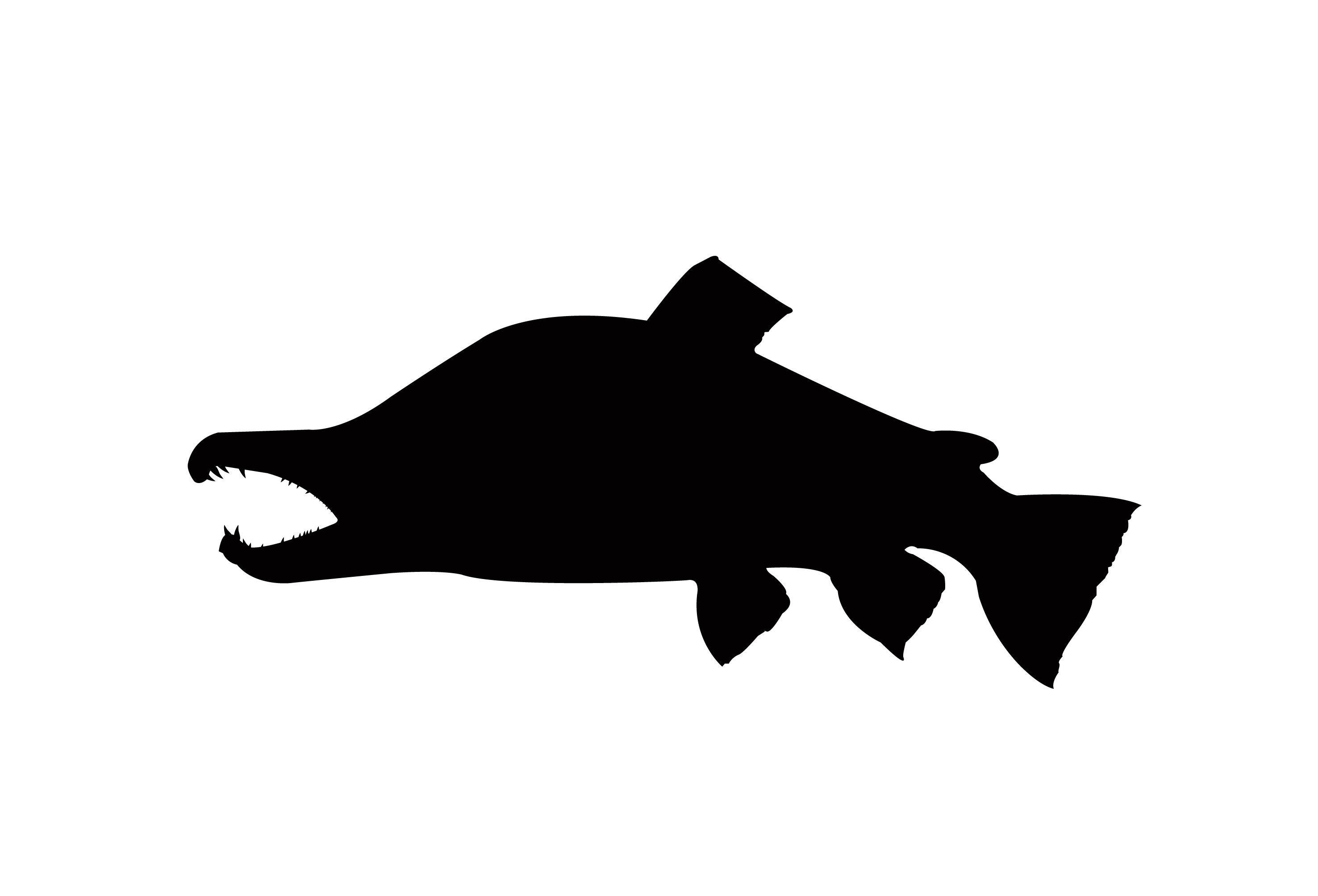 Fish SVG PNG JPEG Sockeye Kokanee Salmón Fish Clip Art Digital - Etsy ...