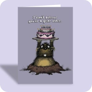 Humorous Birthday Card | UNBELIEVABLE BIRTHDAY | Sarcasm | Illustration |  Kind of Mean | Too Honest