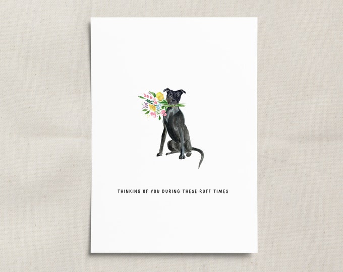 Dog Sympathy Card, Thinking of You Greeting Card Pet Loss