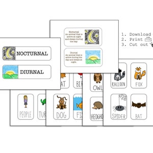 Nocturnal and Diurnal Lesson Plan