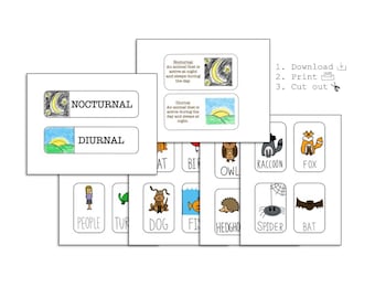 Plan de lección nocturna y diurna