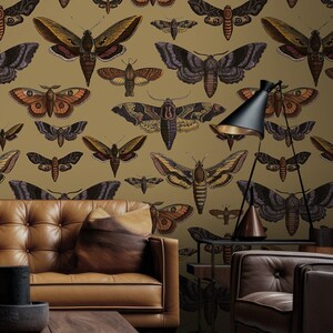 Colorful Moth Wallpaper, Butterfly Wall Mural, Vintage Home Decor, Peel ...
