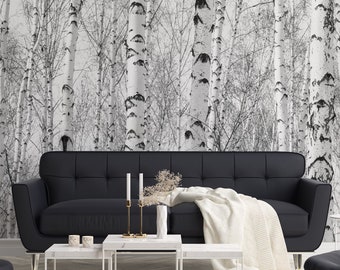 Black and White Wallpaper with Birch-trees, Forest Wall Mural, Peel and Stick Wallpaper, Self Adhesive, Wall Decor