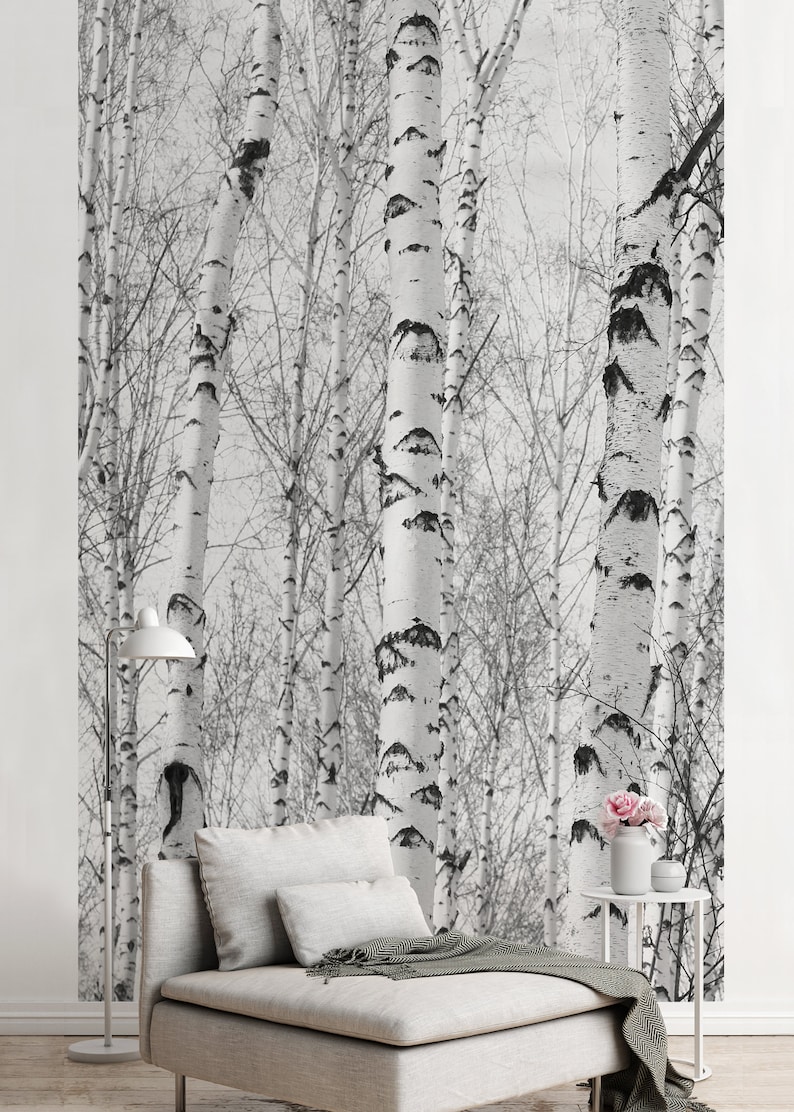 May include: A white couch with a white throw blanket and a white lamp in front of a black and white photo of birch trees.