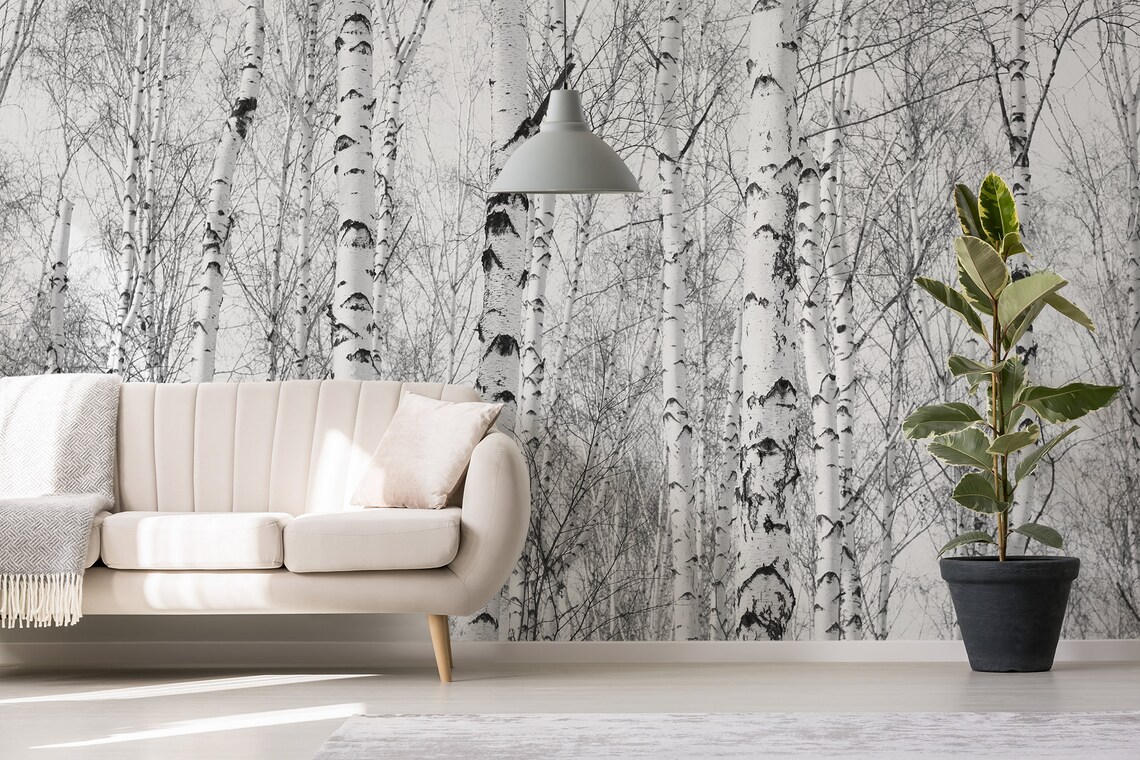 Black and White Wallpaper With Birch-trees, Forest Wall Mural, Peel and ...