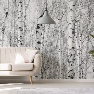 May include: A white couch with a throw blanket sits in front of a wall with a black and white birch tree wallpaper. A potted green plant is on the right side of the image.