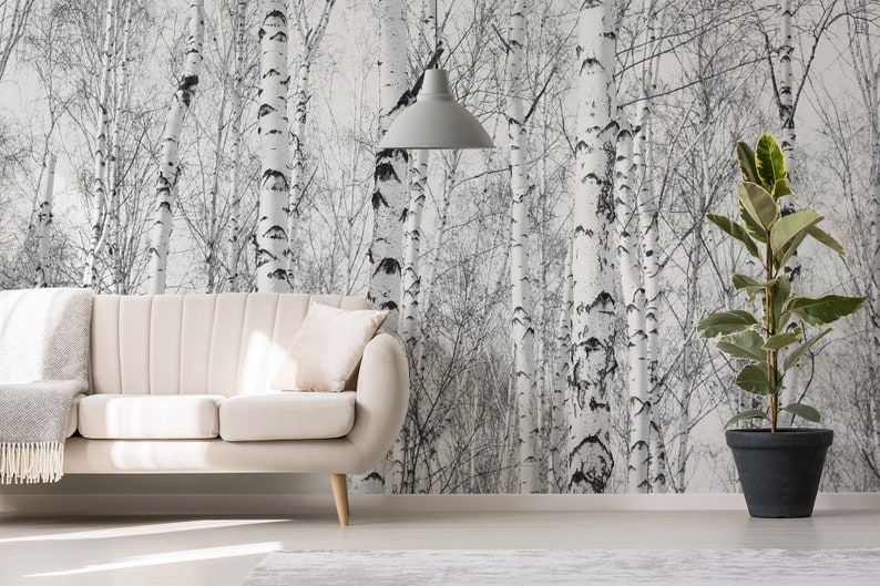May include: A white couch with a throw blanket sits in front of a wall with a black and white birch tree wallpaper. A potted green plant is on the right side of the image.