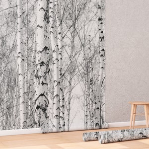 May include: A roll of wallpaper with a black and white birch tree pattern. The wallpaper is rolled up and sitting on a wooden floor. There is a small wooden stool in the background.