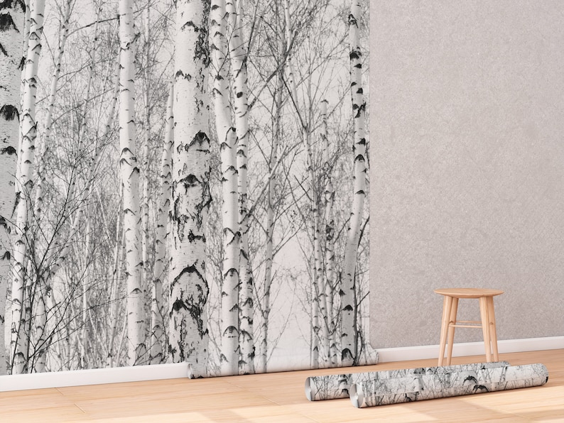 May include: A roll of wallpaper with a black and white birch tree pattern. The wallpaper is rolled up and sitting on a wooden floor. There is a small wooden stool in the background.