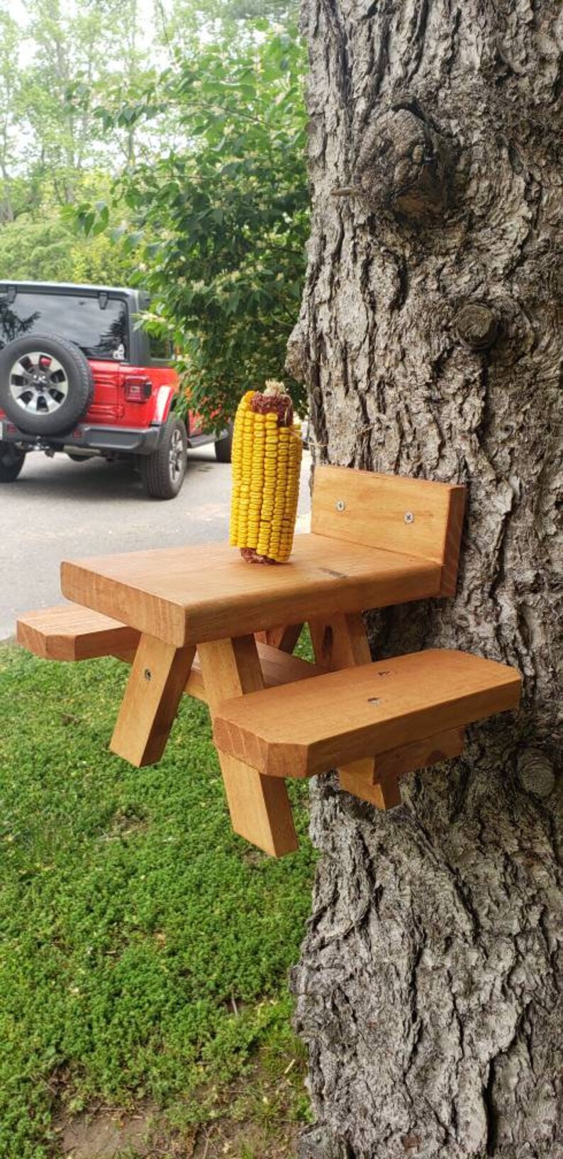 Squirrel Picnic Table Feeder With Corn Cob Etsy