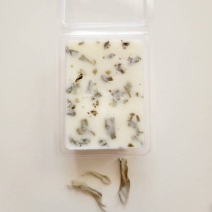 Pu&ograve; includere: Un fondente di cera bianco con foglie di salvia secche incorporate. Il fondente di cera &egrave; in un contenitore di plastica trasparente. Ci sono tre pezzi di foglie di salvia secche su una superficie bianca sotto il contenitore.