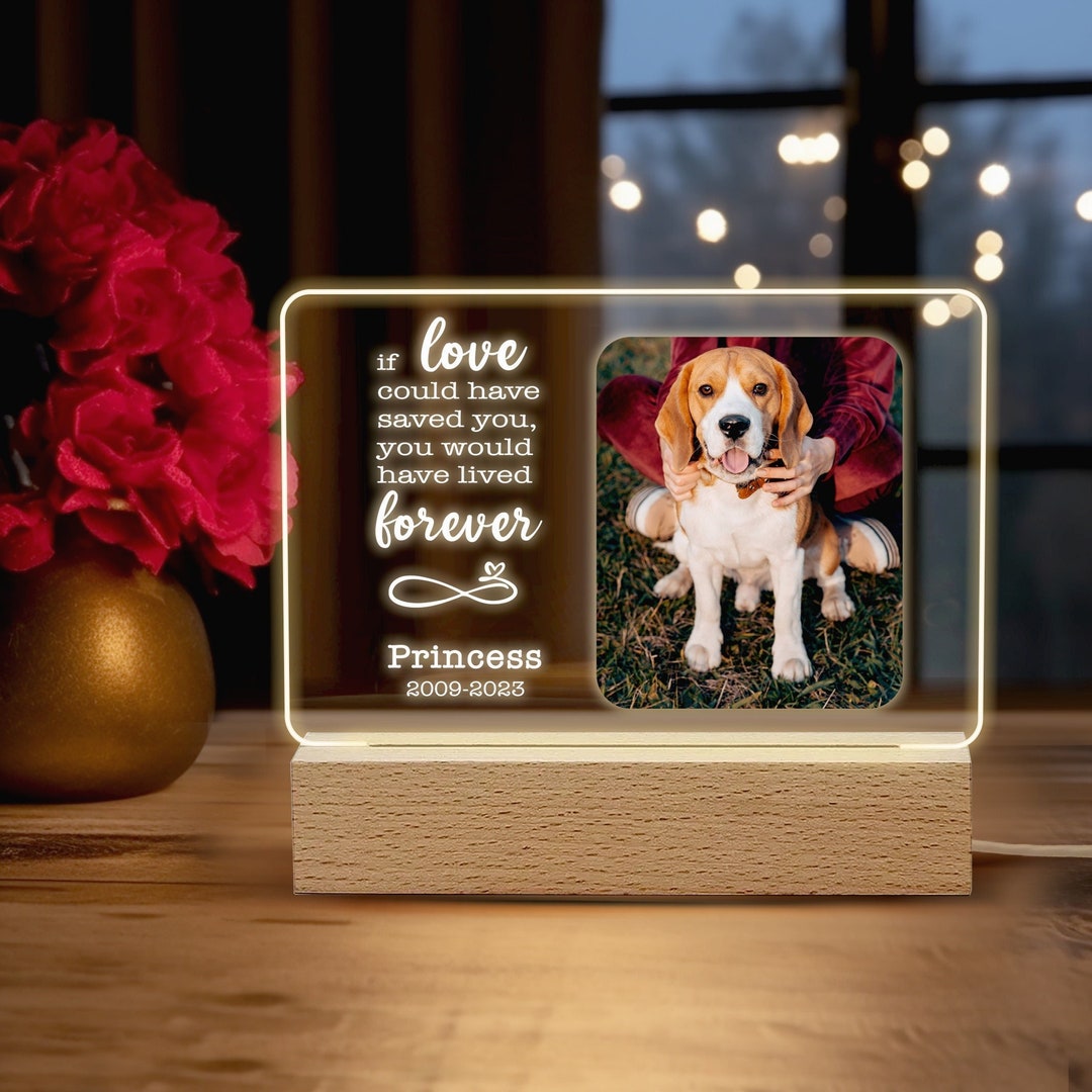 Light up Pet Memorial Plaque Custom Pet Night Light Personalized Gifts