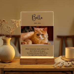 Custom Pet Photo Memorial Night Light: Engraved Pet Loss Gift