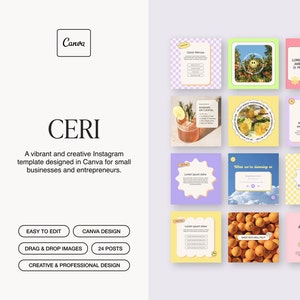 Ceri Instagram Template | Retro Y2K Creative Canva Template