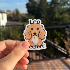 Könnte beinhalten: Ein Aufkleber mit einem Cartoon-Dackel mit hellbraunem Fell und weißer Brust. Der Aufkleber trägt den Namen "Leo" über dem Hund und das Wort "eclerc" darunter. Der Aufkleber wird vor einem verschwommenen Hintergrund im Freien gehalten.