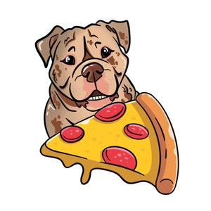 Custom Pet Portrait Caricature Graffiti Food Cat Dog Gift Drawing Digital Illustration