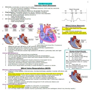 Amazing RN Cardiology Unit notes 20 pages I got A on my exam