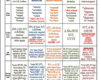 Nursing Study Guide Etsy