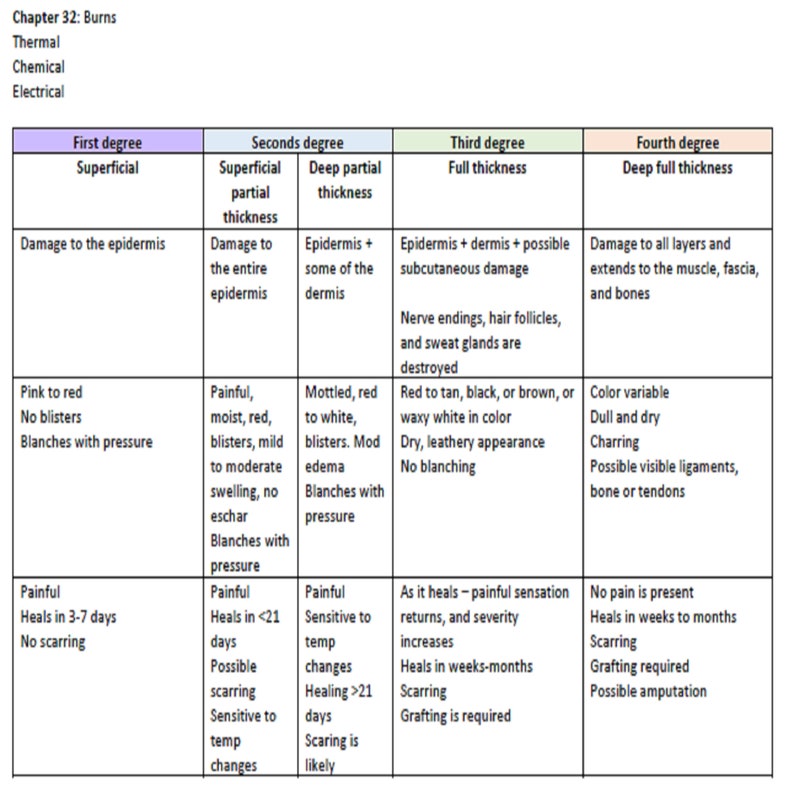 Wset Level 3 Study Notes Pdf