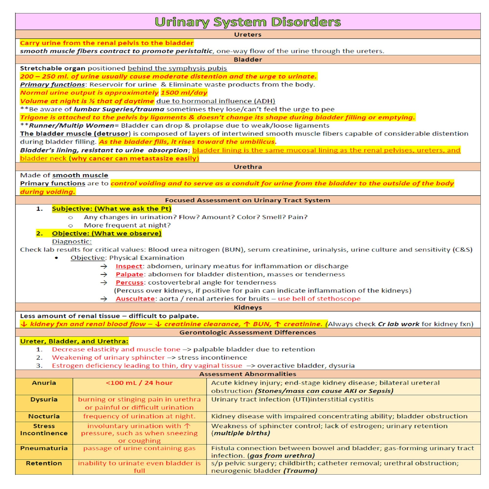 Urinary System Disorders Review Notes 5 Pages - Etsy