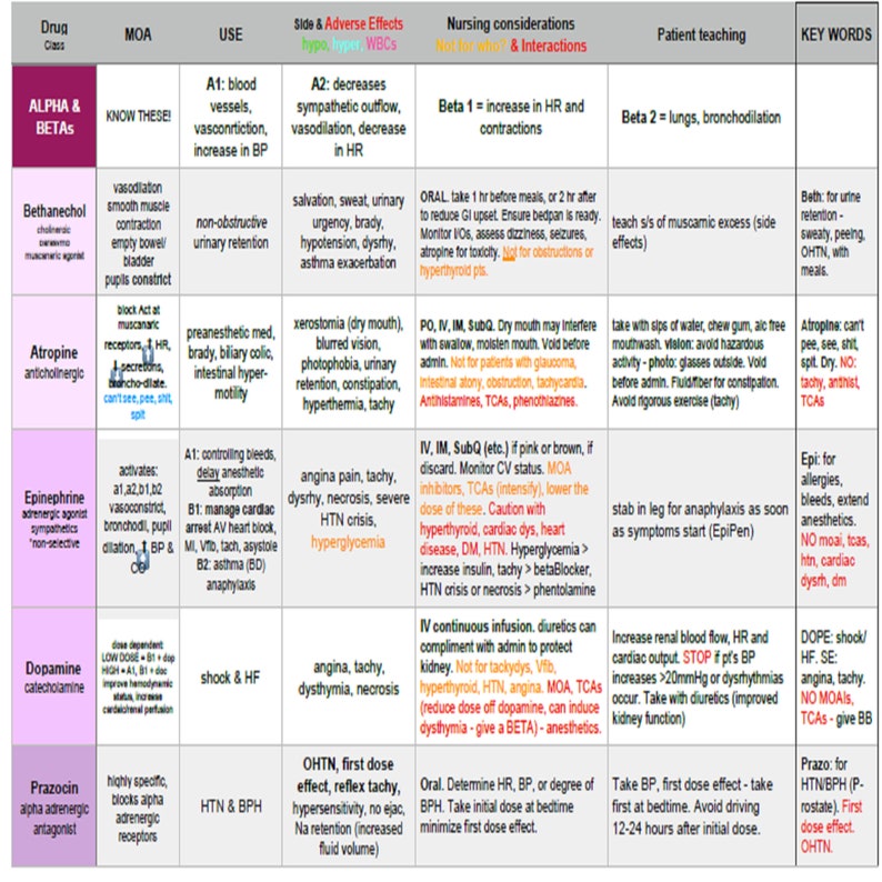 Pharmacology study guide to pass BSN pharmacology class 20 Etsy