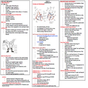 Full cardiology nursing study guide review with BONUS file - 13 sinus rhythm and dysrhythmias 14 pages
