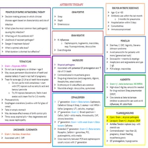 Comprehensive review for  AANP 90+ pages