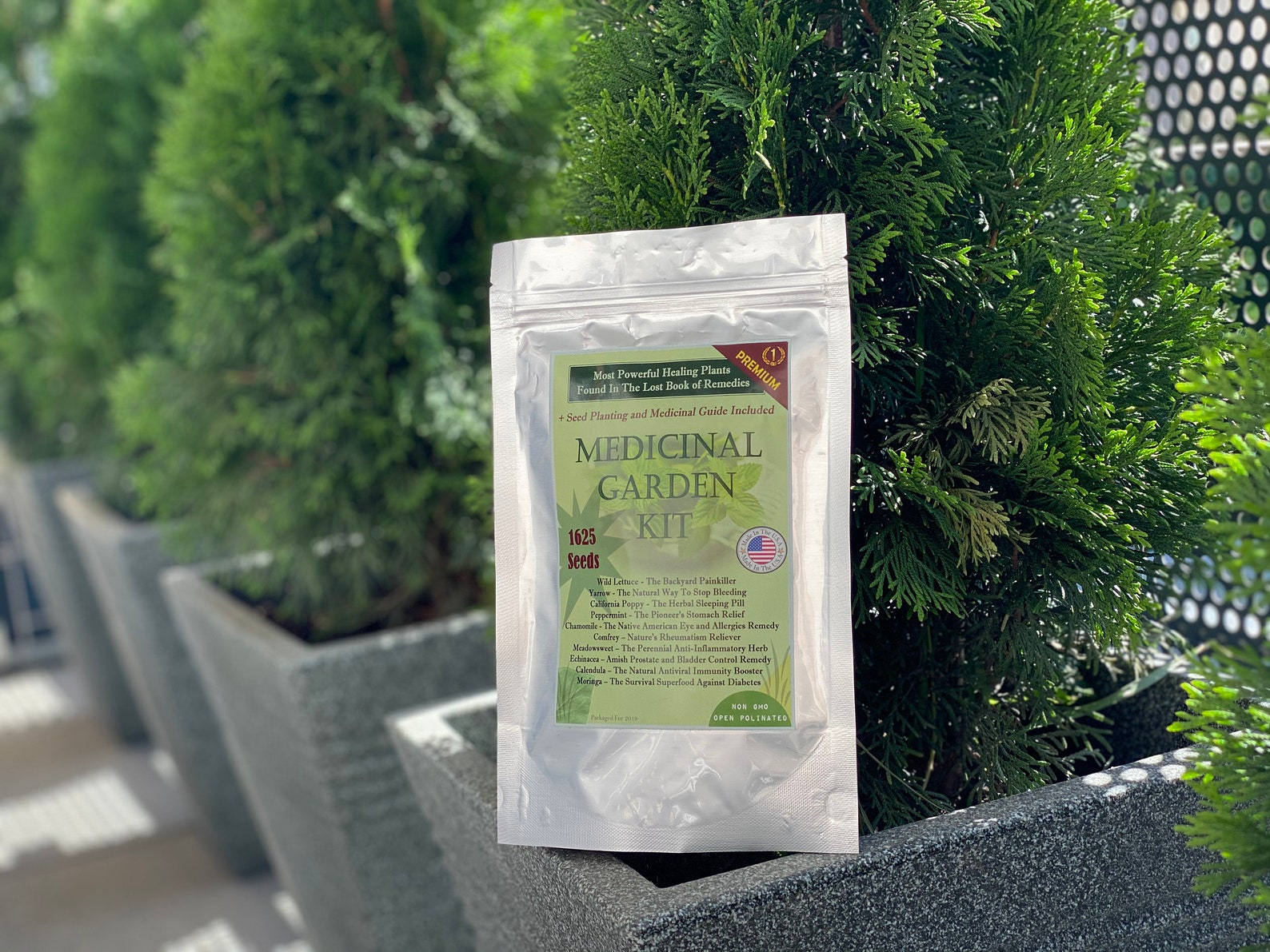 Medicinal Garden Seed Kit Etsy