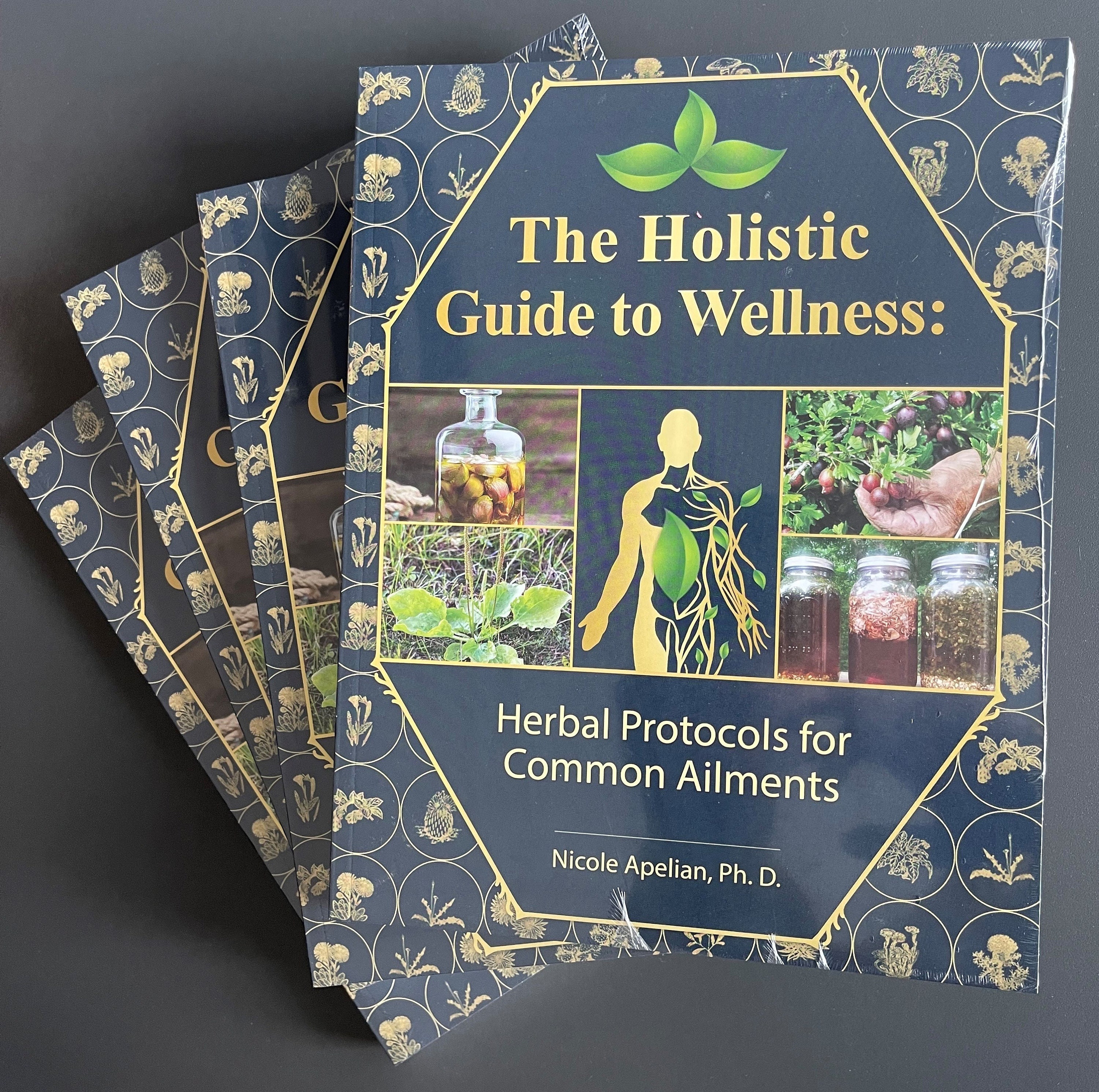 The Holistic Guide to Wellness: Herbal Protocols for Common Ailments - Etsy