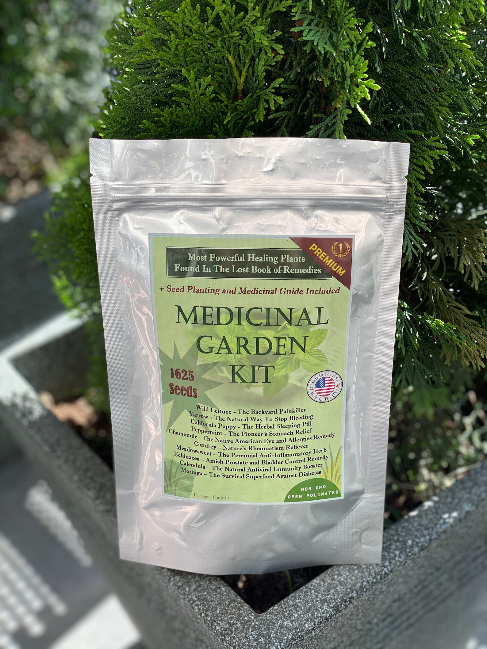 Medicinal Garden Seed Kit Etsy