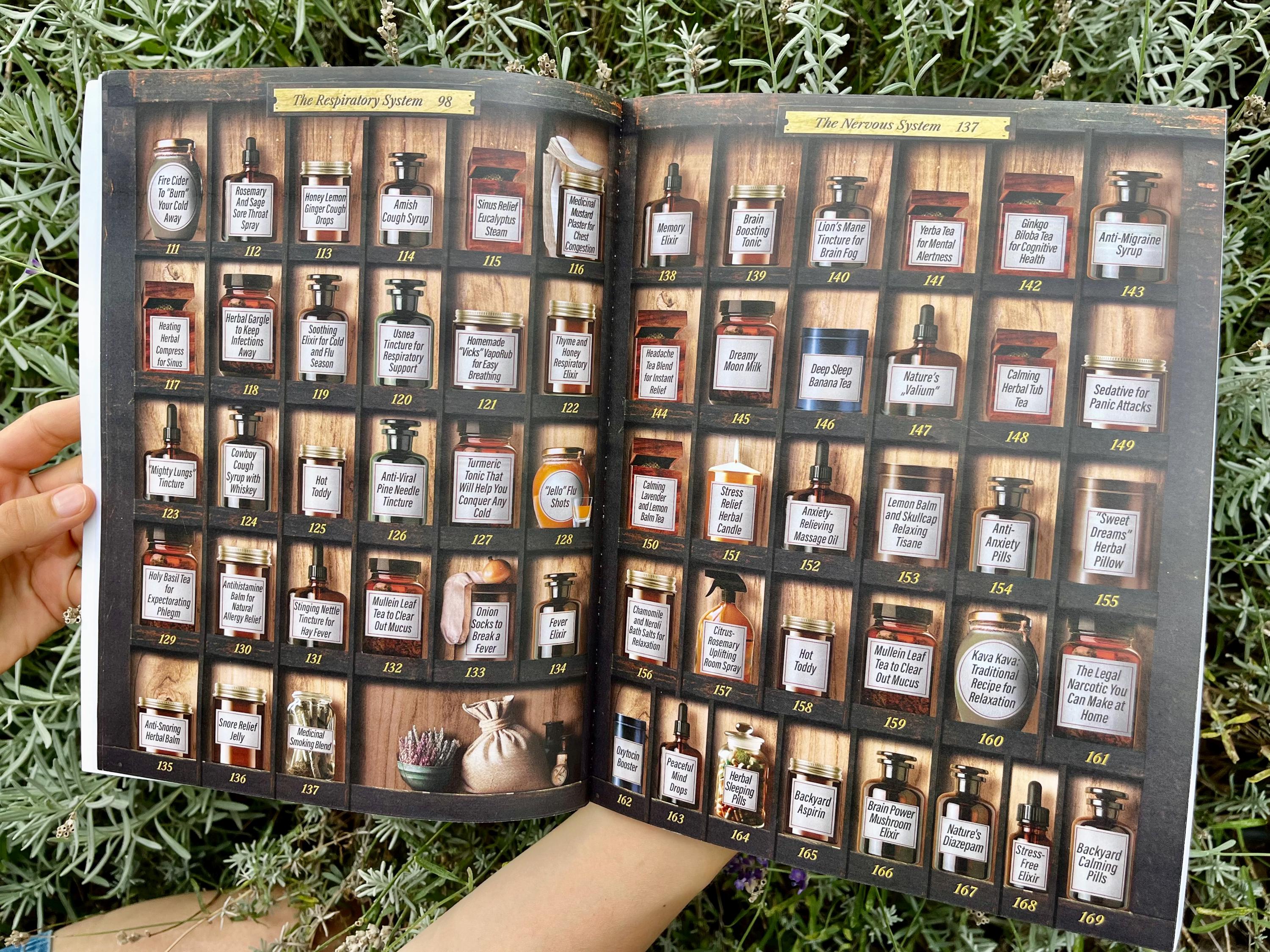 Forgotten Home Apothecary : 250 Powerful Remedies at Your